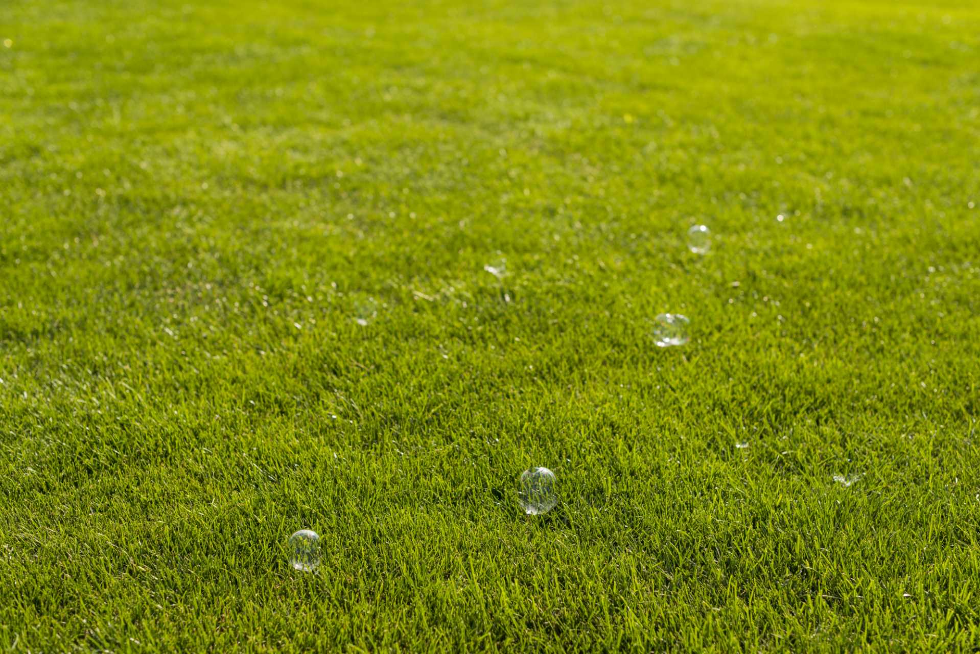 How to Choose the Best Artificial Turf for Hot Climates: A Buyer’s Guide