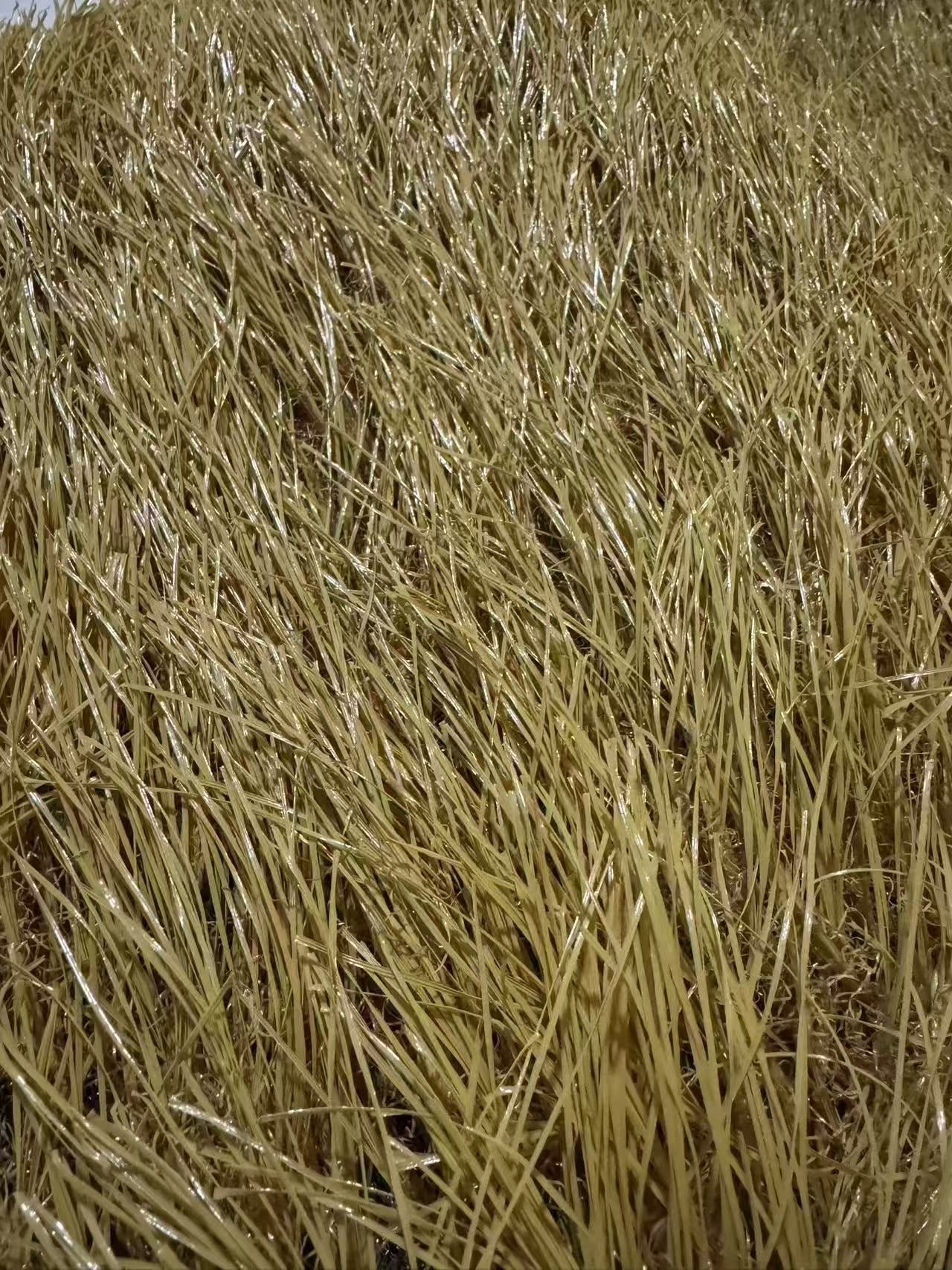 Waterproof artificial thatch