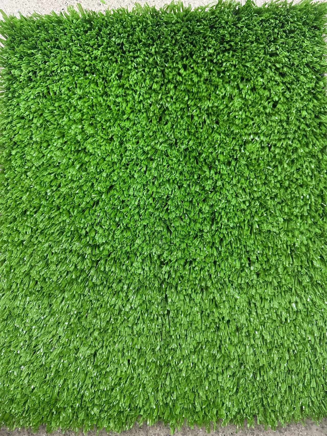 Fruit green little grass