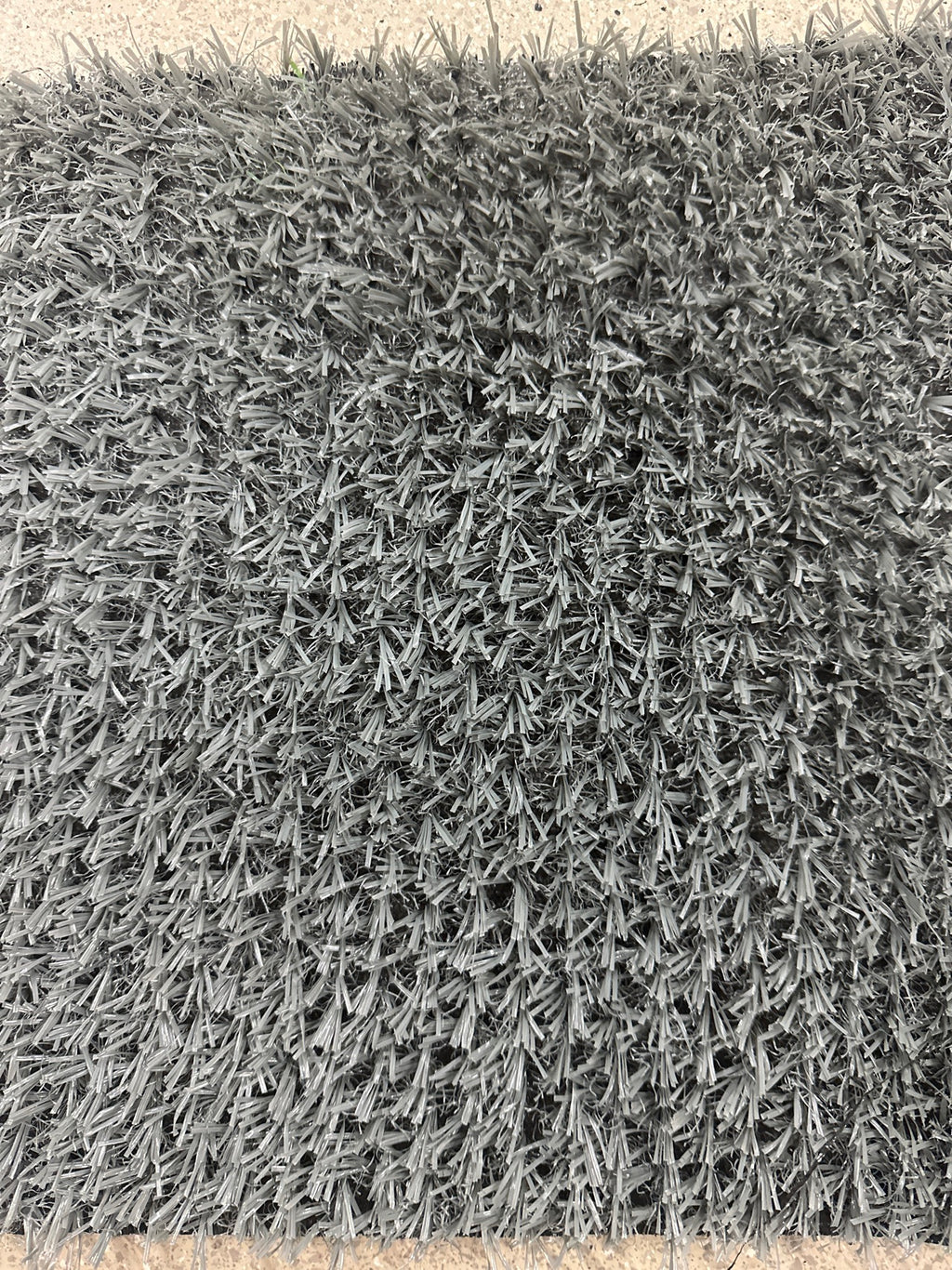 light gray Leisure Grass 2.011