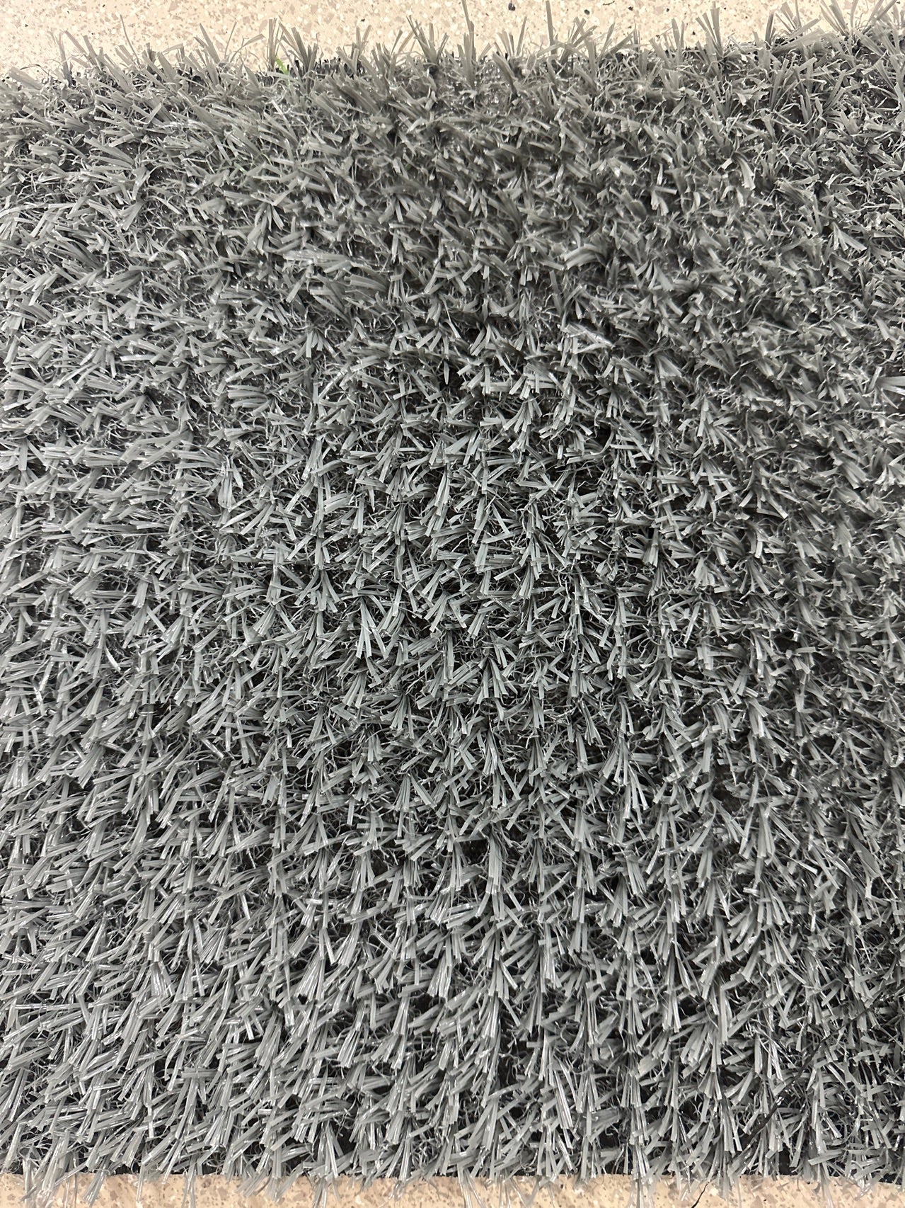 light gray Leisure Grass 2.011